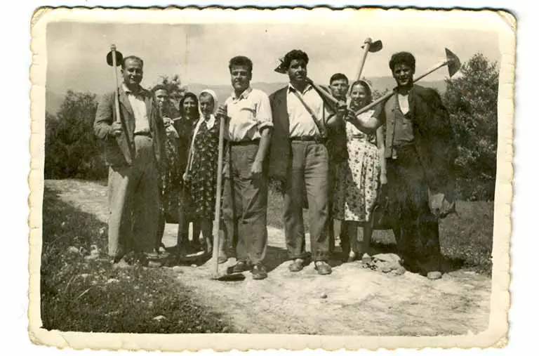 Erntehelfer historisches Bild