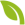 Icon grünes Blatt