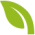 Icon grünes Blatt