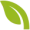 Icon grünes Blatt